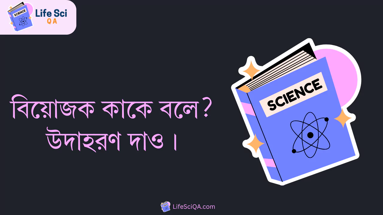 বিয়োজক কাকে বলে? উদাহরণ দাও।