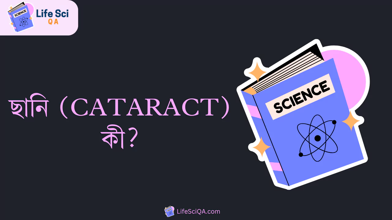 ছানি (cataract) কী?