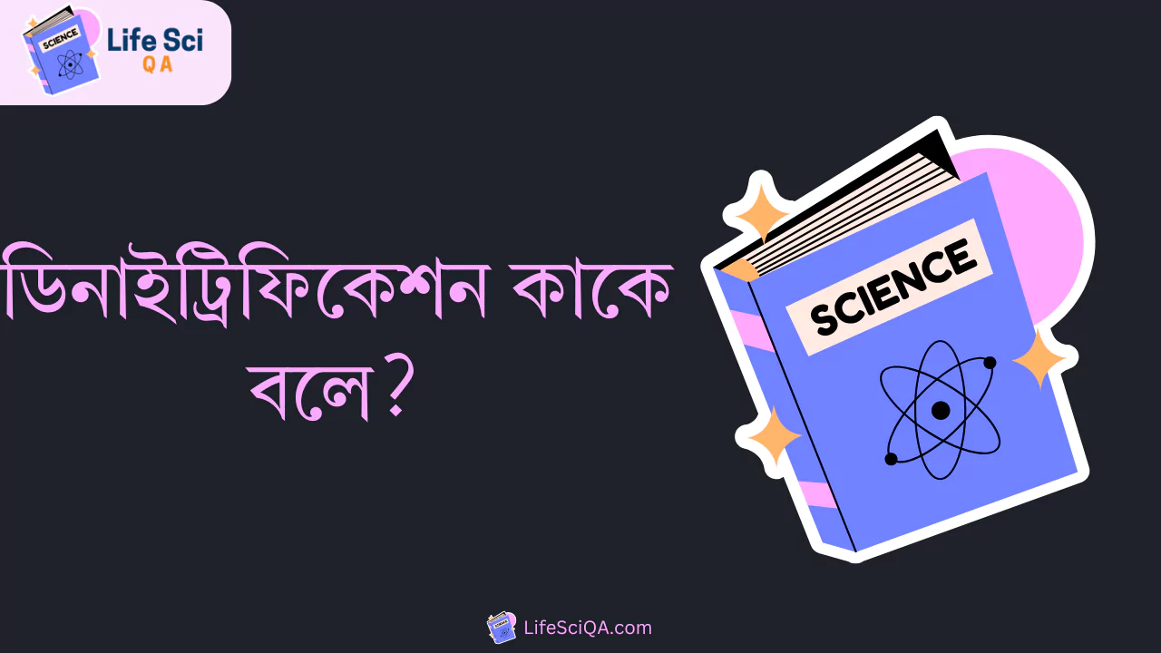 ডিনাইট্রিফিকেশন কাকে বলে?