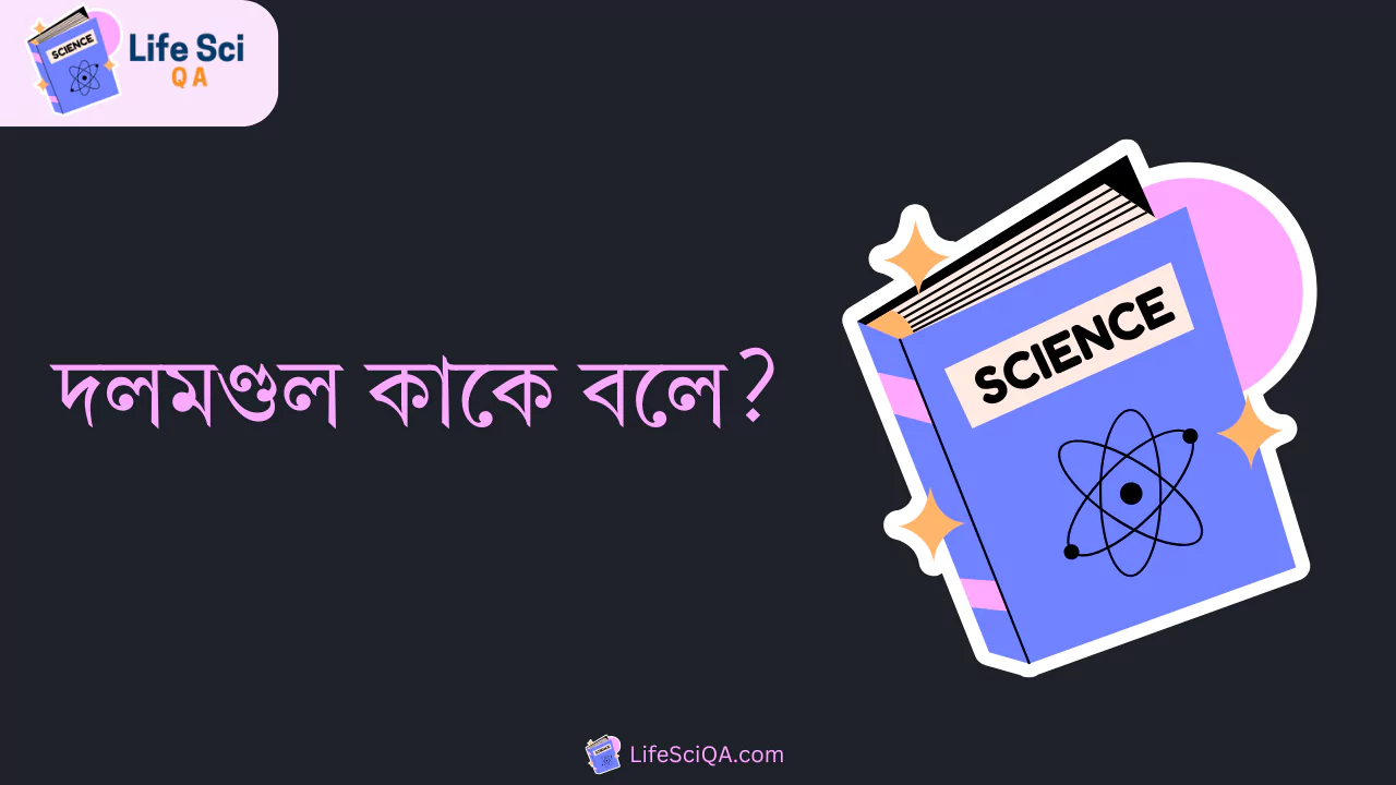 দলমণ্ডল কাকে বলে?