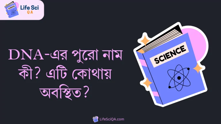 DNA-এর পুরো নাম কী? এটি কোথায় অবস্থিত?