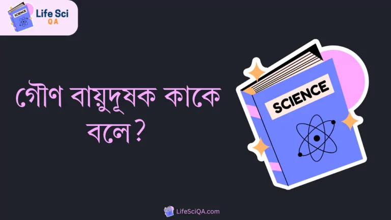 গৌণ বায়ুদূষক কাকে বলে?