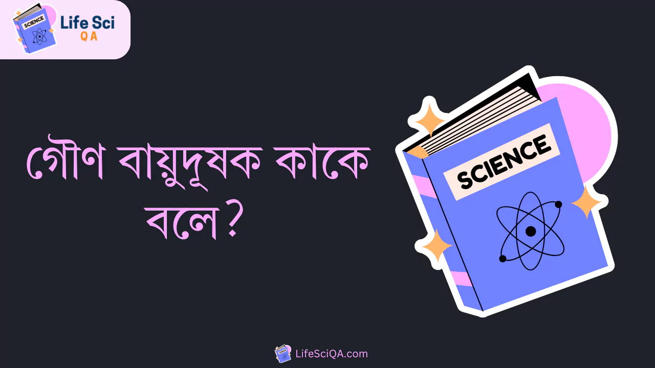 গৌণ বায়ুদূষক কাকে বলে?