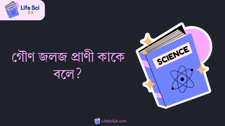 গৌণ জলজ প্রাণী কাকে বলে?