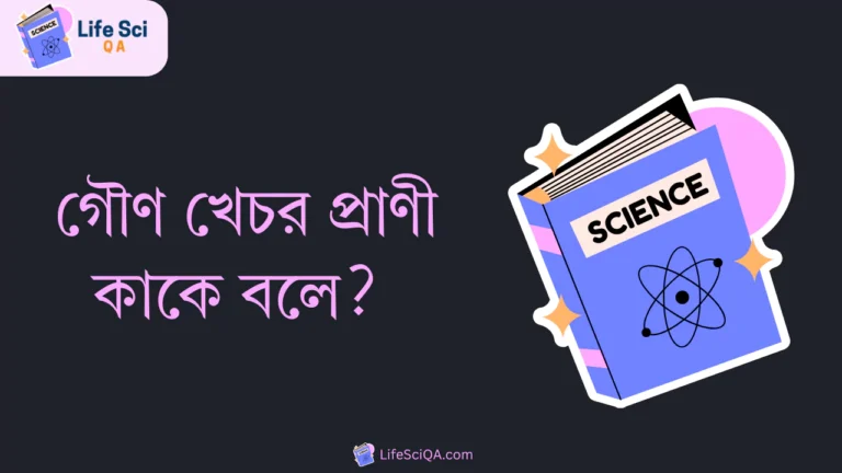 গৌণ খেচর প্রাণী কাকে বলে? উদাহরণ দাও।