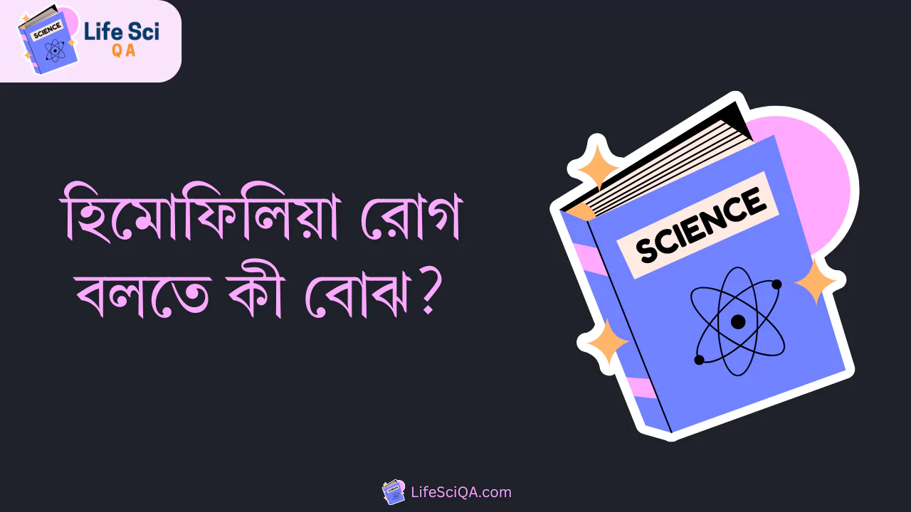 হিমোফিলিয়া রোগ বলতে কী বোঝ?