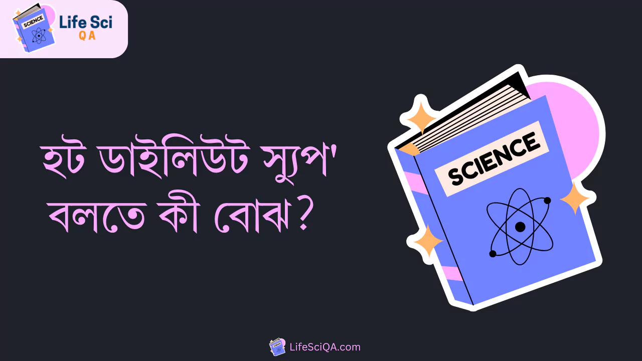 হট ডাইলিউট স্যুপ' বলতে কী বোঝ?