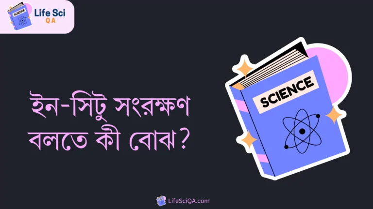 ইন-সিটু সংরক্ষণ বলতে কী বোঝ?