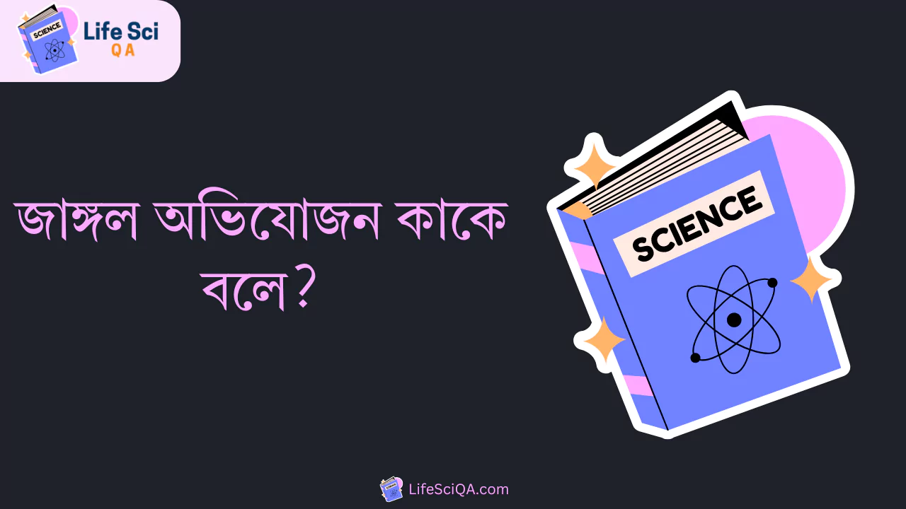 জাঙ্গল অভিযোজন কাকে বলে?