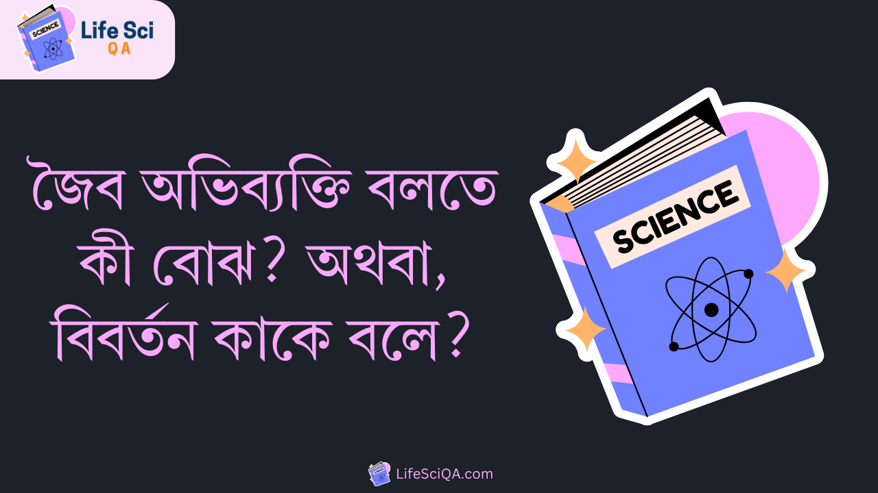 জৈব অভিব্যক্তি বলতে কী বোঝ? অথবা, বিবর্তন কাকে বলে?