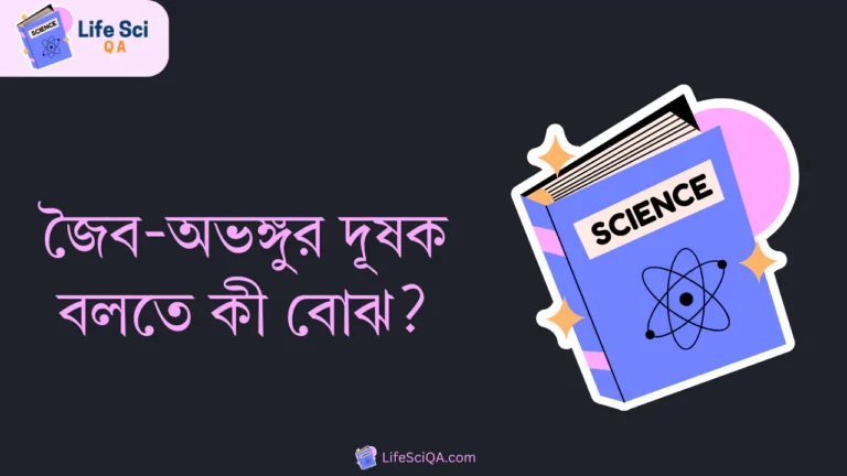 জৈব-অভঙ্গুর দূষক বলতে কী বোঝ?