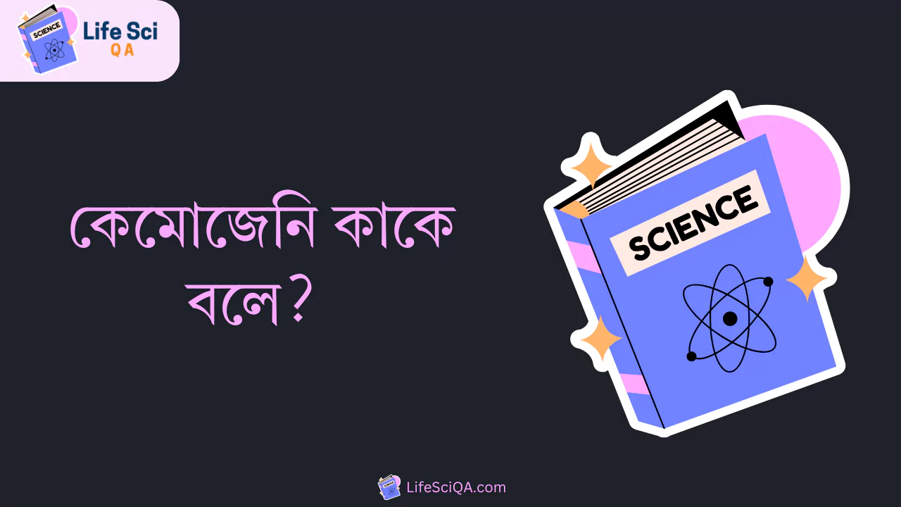 কেমোজেনি কাকে বলে?