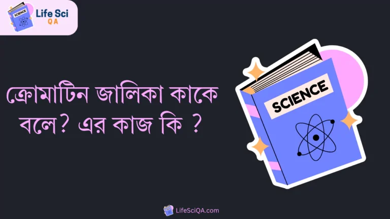 ক্রোমাটিন জালিকা কাকে বলে? এর কাজ কি ?