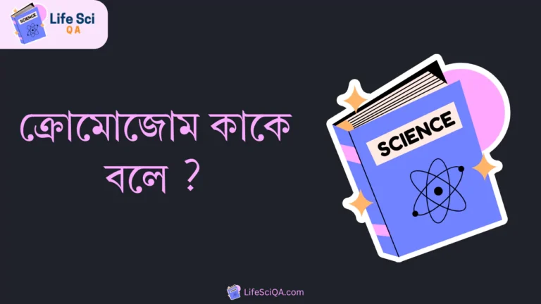 ক্রোমোজোম কাকে বলে ?