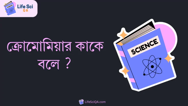 ক্রোমোমিয়ার কাকে বলে ?