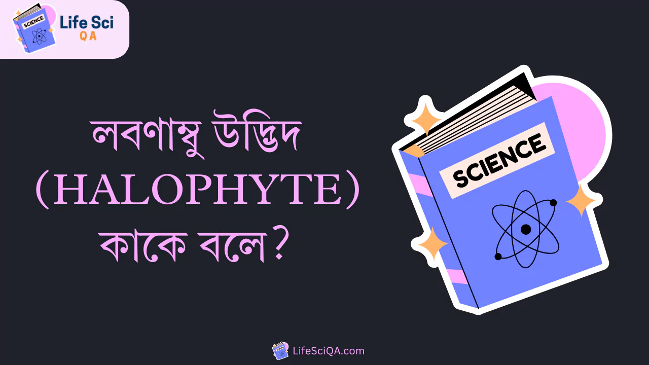 লবণাম্বু উদ্ভিদ (halophyte) কাকে বলে?