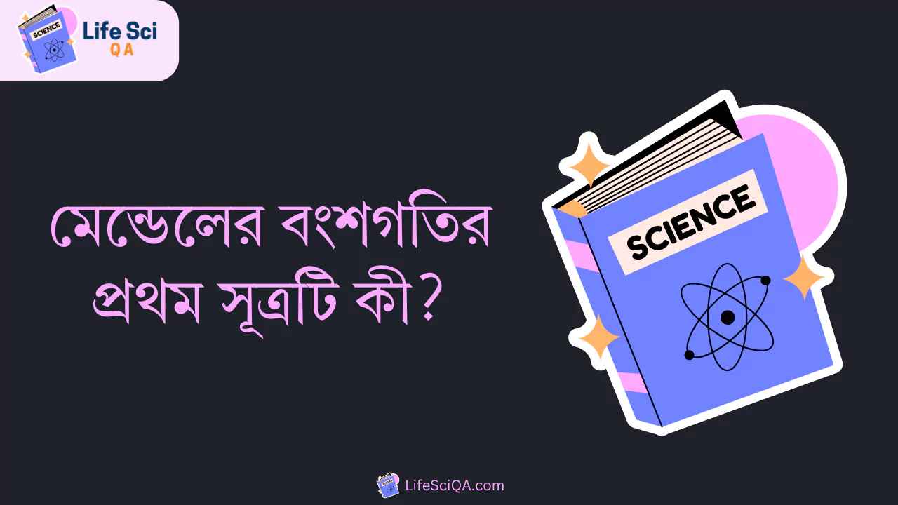 মেন্ডেলের বংশগতির প্রথম সূত্রটি কী?