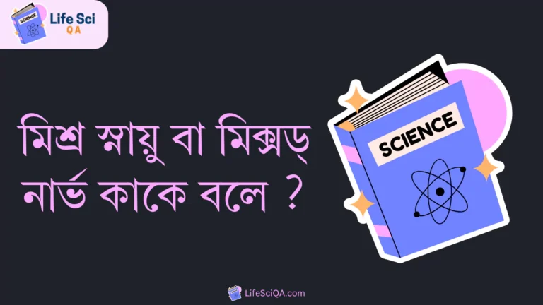 মিশ্র স্নায়ু বা মিক্সড্ নার্ভ কাকে বলে ?