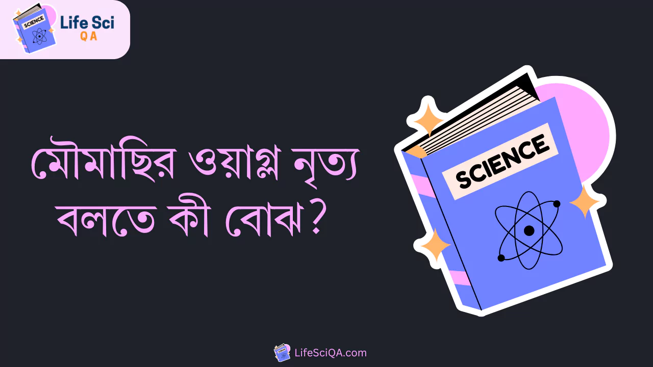 মৌমাছির ওয়াগ্ল নৃত্য বলতে কী বোঝ?