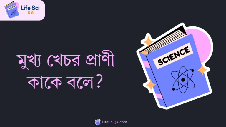 মুখ্য খেচর প্রাণী কাকে বলে? উদাহরণ দাও।