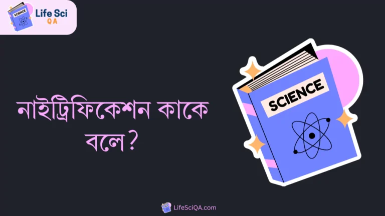 নাইট্রিফিকেশন কাকে বলে?