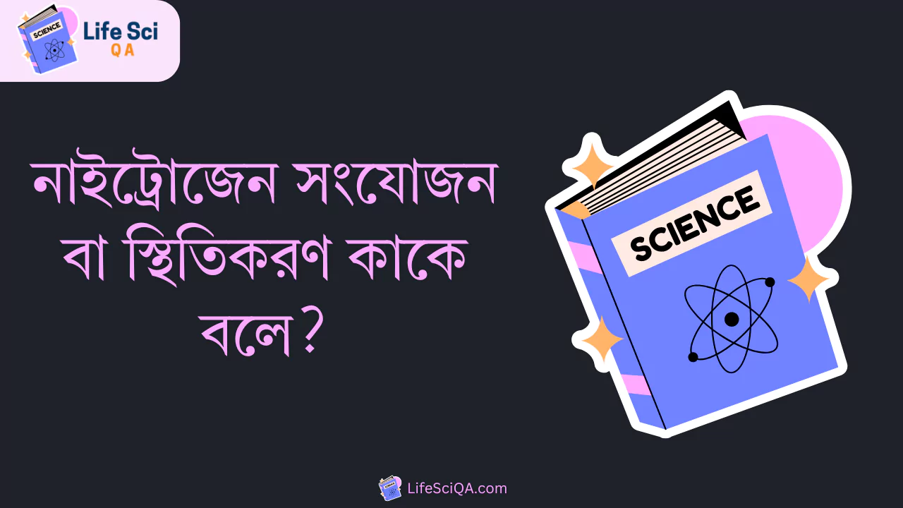 নাইট্রোজেন সংযোজন বা স্থিতিকরণ কাকে বলে?