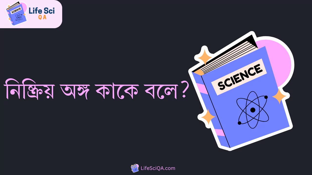 নিষ্ক্রিয় অঙ্গ কাকে বলে?