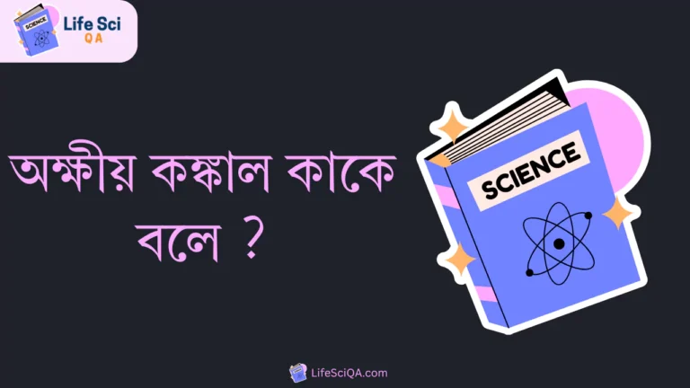 অক্ষীয় কঙ্কাল কাকে বলে ?