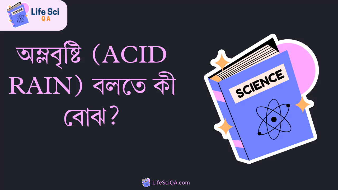 অম্লবৃষ্টি (acid rain) বলতে কী বোঝ?