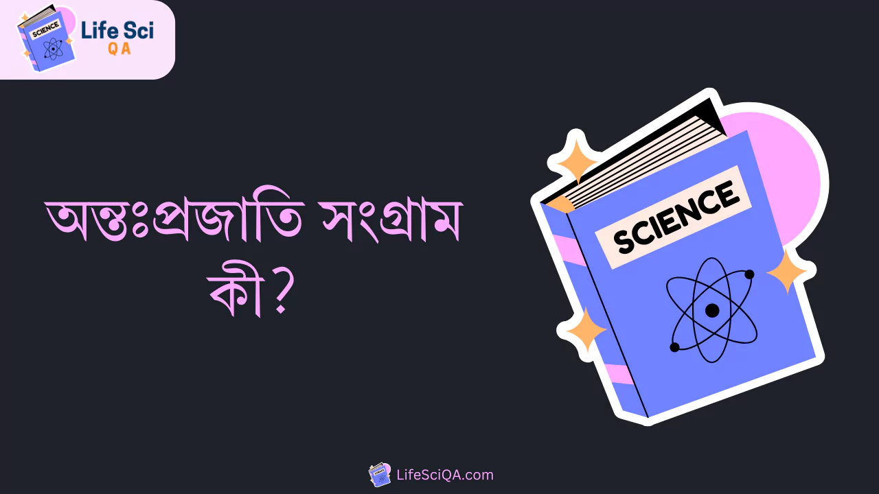 অন্তঃপ্রজাতি সংগ্রাম কী?