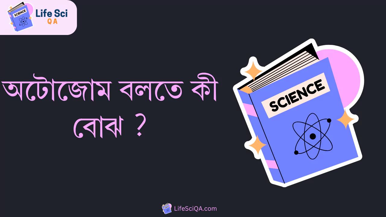 অটোজোম বলতে কী বোঝ ?