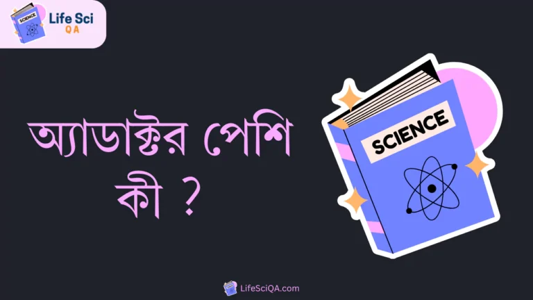 অ্যাডাক্টর পেশি কী ?