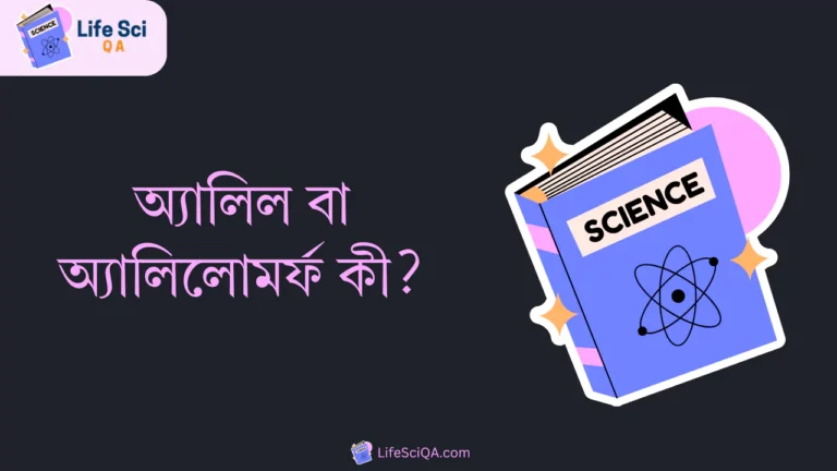 অ্যালিল বা অ্যালিলোমর্ফ কী?