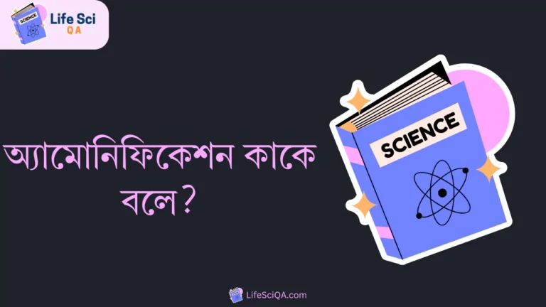 অ্যামোনিফিকেশন কাকে বলে?