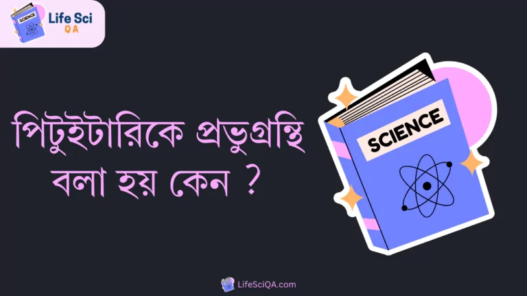 পিটুইটারিকে প্রভুগ্রন্থি বলা হয় কেন ?