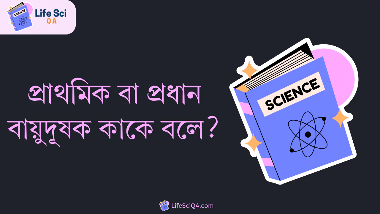 প্রাথমিক বা প্রধান বায়ুদূষক কাকে বলে?