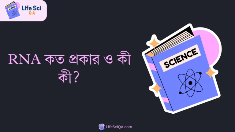 RNA কত প্রকার ও কী কী?