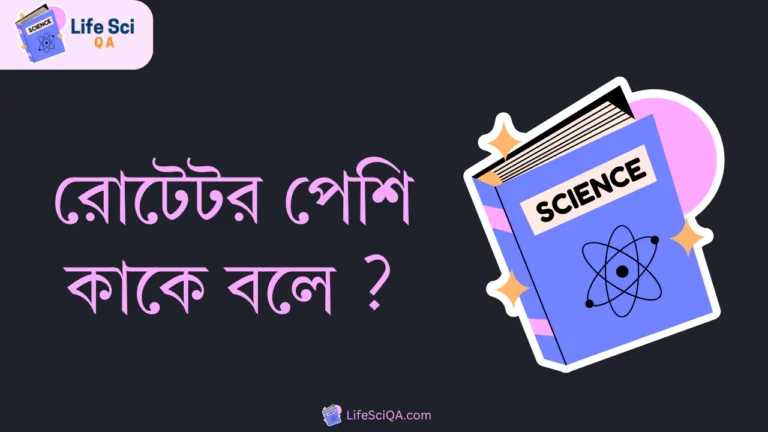 রোটেটর পেশি কাকে বলে ?