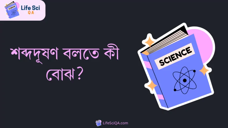 শব্দদূষণ বলতে কী বোঝ?