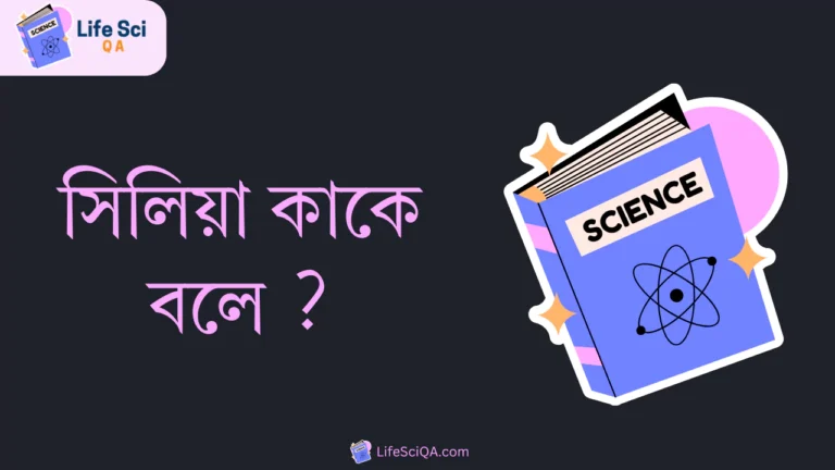 সিলিয়া কাকে বলে ?