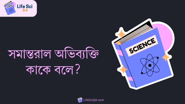 সমান্তরাল অভিব্যক্তি কাকে বলে?