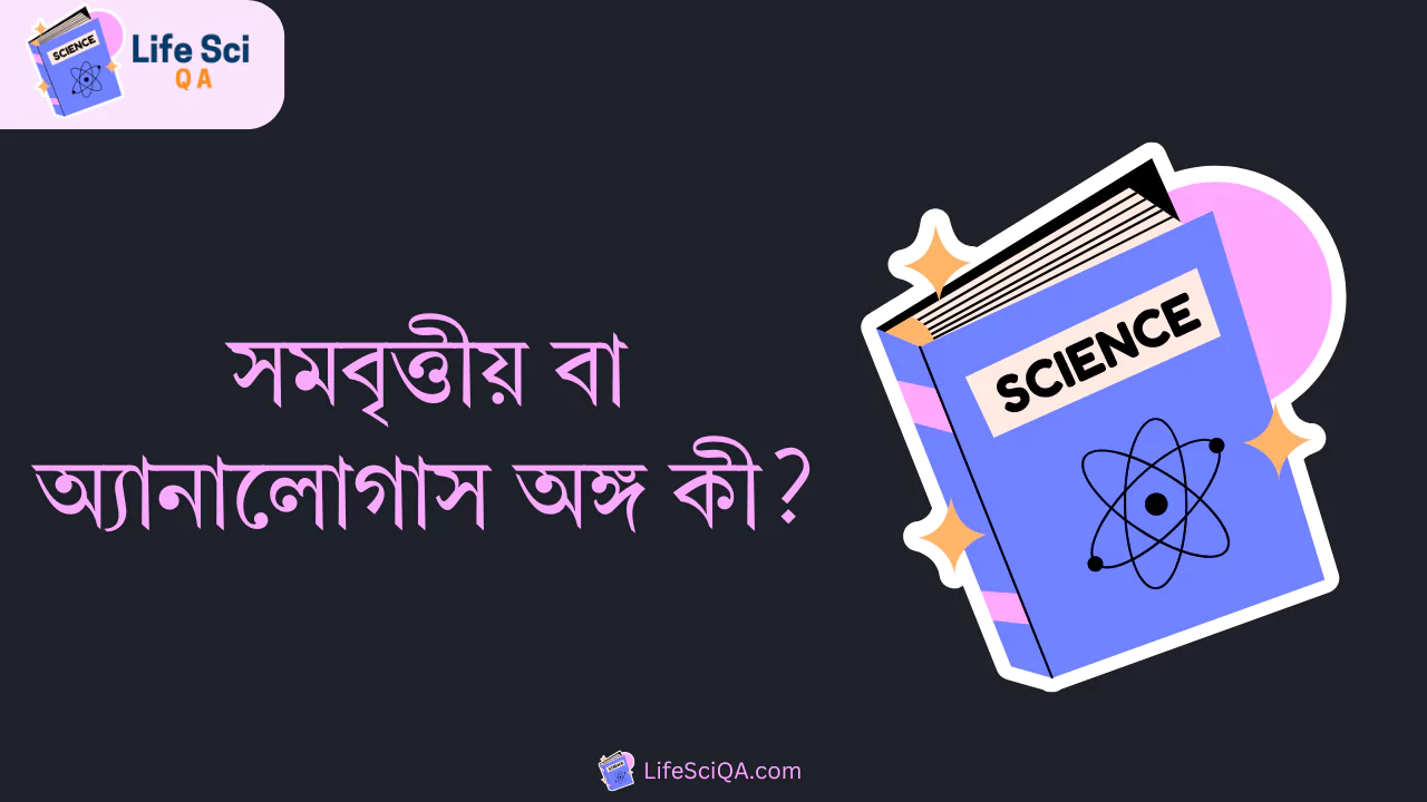 সমবৃত্তীয় বা অ্যানালোগাস অঙ্গ কী?