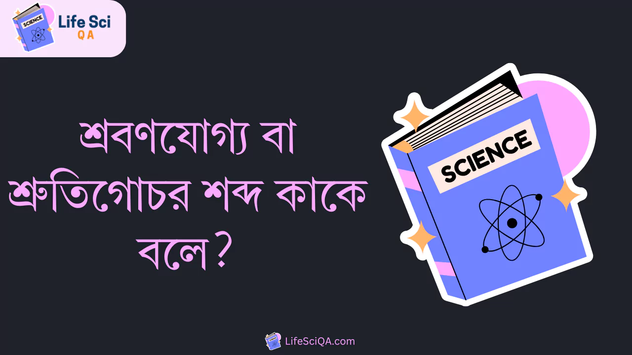 শ্রবণযোগ্য বা শ্রুতিগোচর শব্দ কাকে বলে?