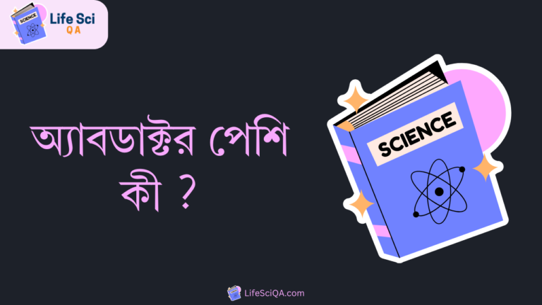 অ্যাবডাক্টর পেশি কী ?