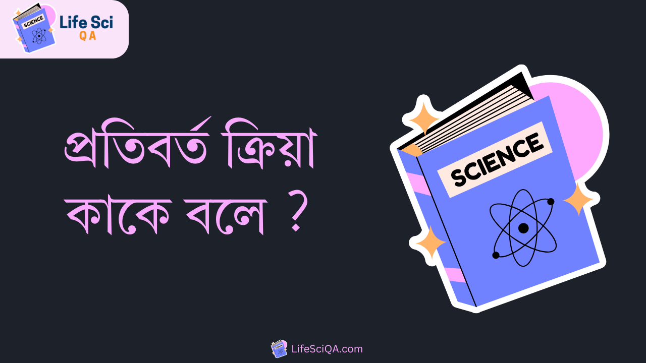 প্রতিবর্ত ক্রিয়া কাকে বলে ?